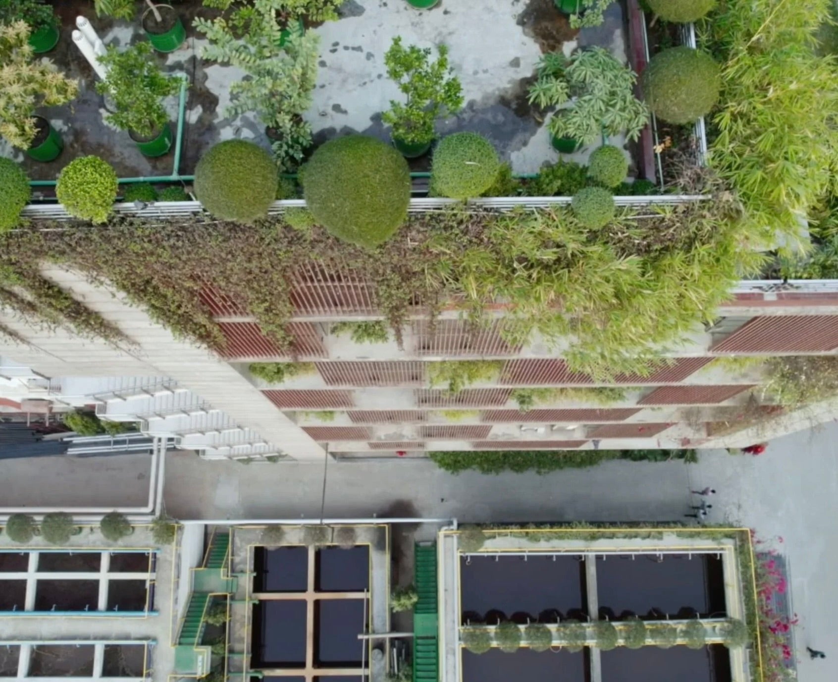 An outside view of Milana Label's factory in Bangladesh.